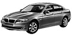 BMW F10 B221A Fault Code
